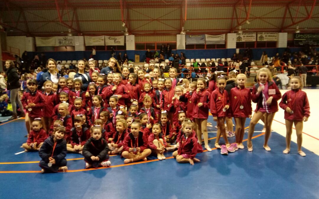 Exitosa participación en el  XIV Festival de Gimnasia.