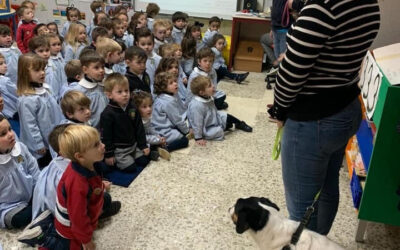 Nuestros pequeños de EI 3 años inmersos en el proyecto "¿Y tú qué comes?"